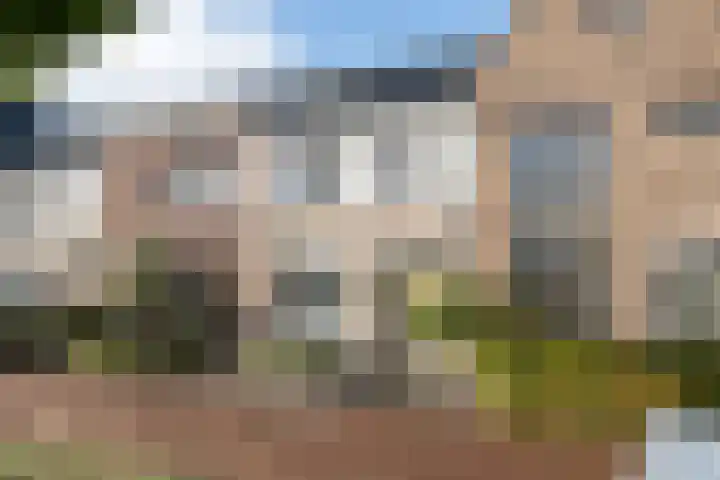 Zijdehoenderlaan 62 Barneveld thumbnail 41