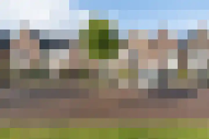 Zijdehoenderlaan 62 Barneveld thumbnail 42