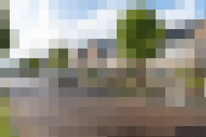 Zijdehoenderlaan 62 Barneveld thumbnail 43
