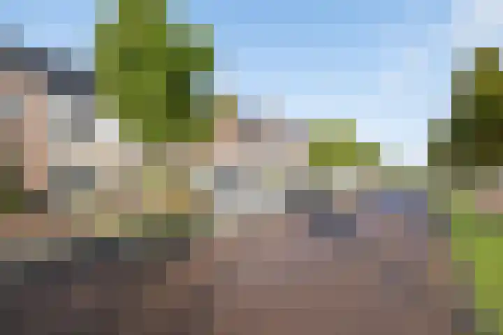 Zijdehoenderlaan 62 Barneveld thumbnail 45