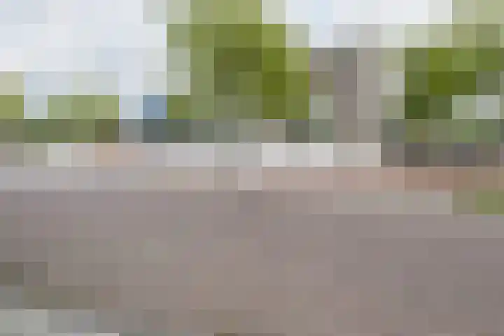 Zijdehoenderlaan 62 Barneveld thumbnail 46