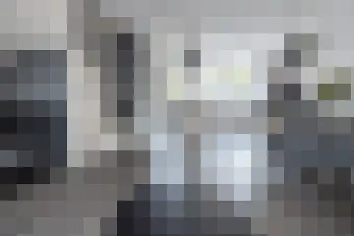 Zijdehoenderlaan 62 Barneveld thumbnail 8