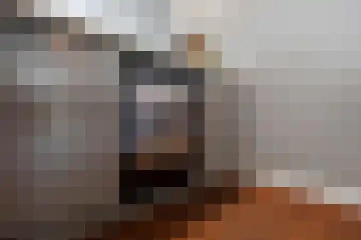 Zijdehoenderlaan 68 Barneveld thumbnail 11