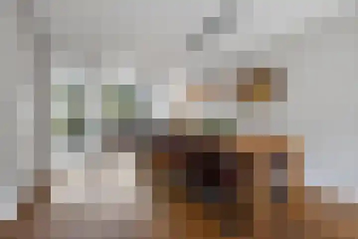 Zijdehoenderlaan 68 Barneveld thumbnail 12
