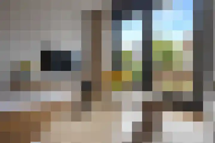Zijdehoenderlaan 68 Barneveld thumbnail 16