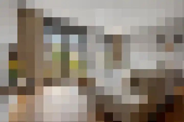 Zijdehoenderlaan 68 Barneveld thumbnail 17