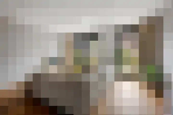 Zijdehoenderlaan 68 Barneveld thumbnail 18