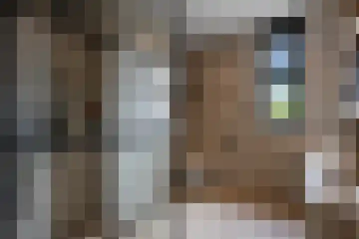 Zijdehoenderlaan 68 Barneveld thumbnail 27
