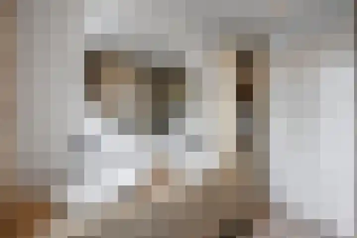 Zijdehoenderlaan 68 Barneveld thumbnail 28