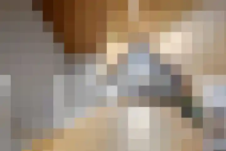 Zijdehoenderlaan 68 Barneveld thumbnail 31