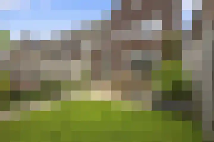 Zijdehoenderlaan 68 Barneveld thumbnail 32