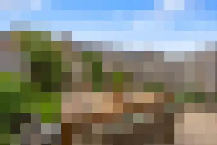Zijdehoenderlaan 68 Barneveld thumbnail 35