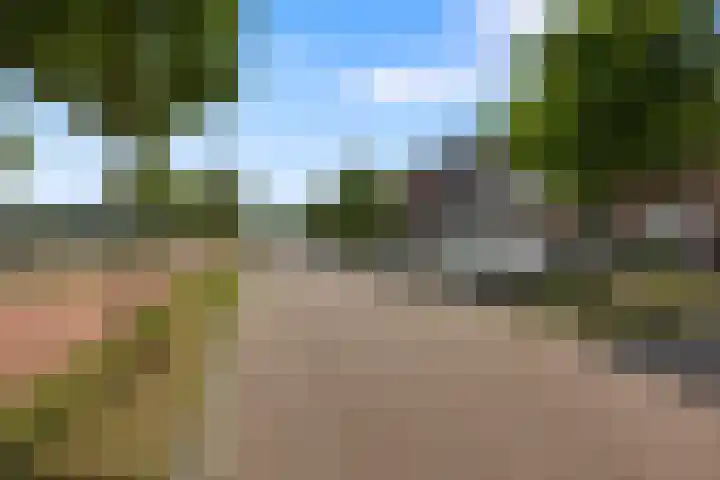 Zijdehoenderlaan 68 Barneveld thumbnail 40