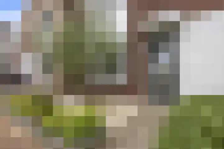 Zijdehoenderlaan 68 Barneveld thumbnail 5