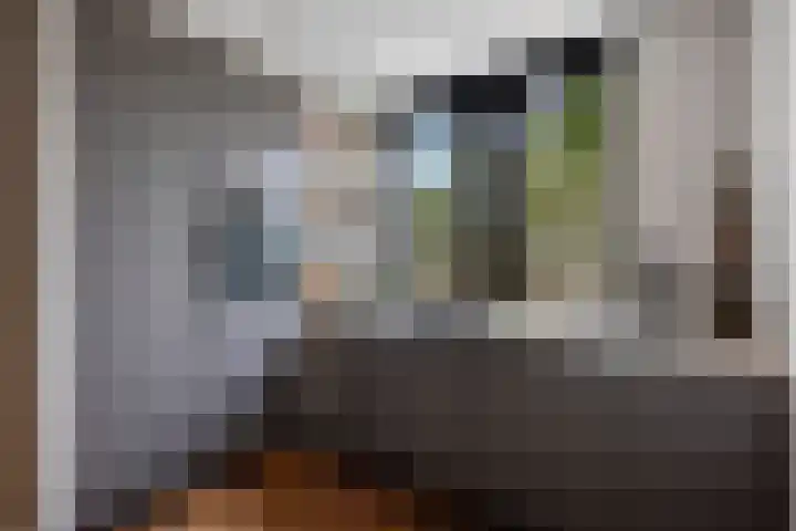 Zijdehoenderlaan 68 Barneveld thumbnail 8
