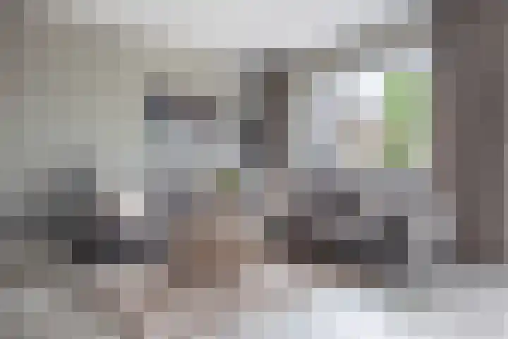 Zijdehoenderlaan 86 Barneveld thumbnail 10