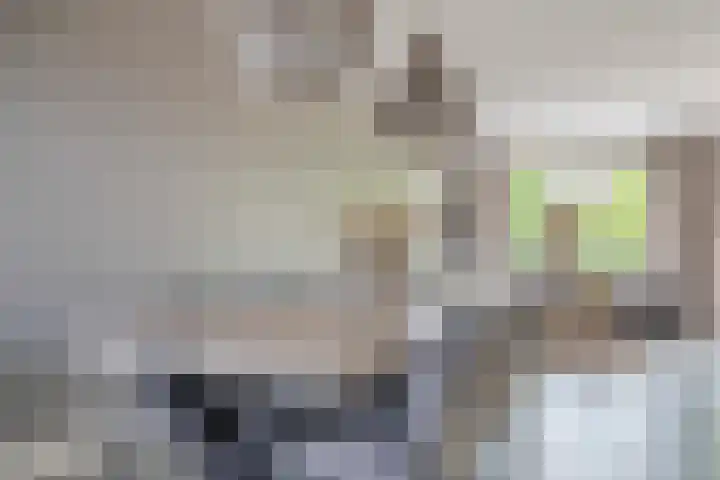 Zijdehoenderlaan 86 Barneveld thumbnail 13