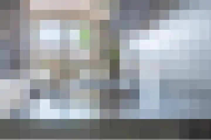 Zijdehoenderlaan 86 Barneveld thumbnail 18