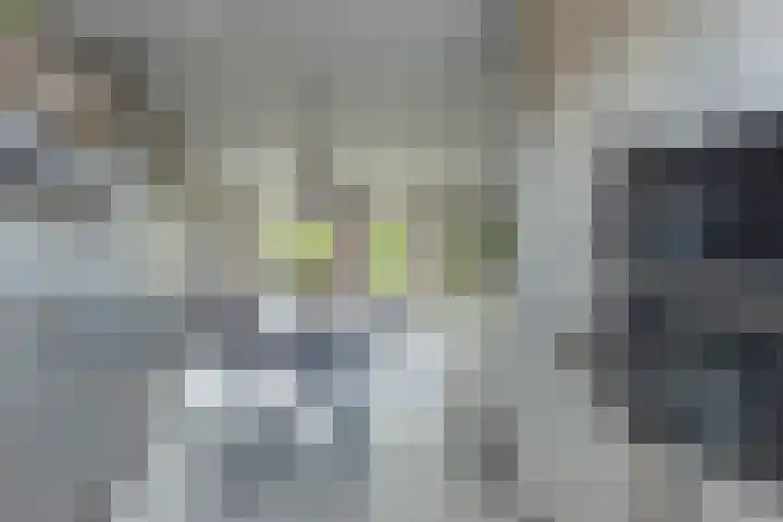 Zijdehoenderlaan 86 Barneveld thumbnail 20