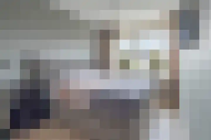 Zijdehoenderlaan 86 Barneveld thumbnail 22