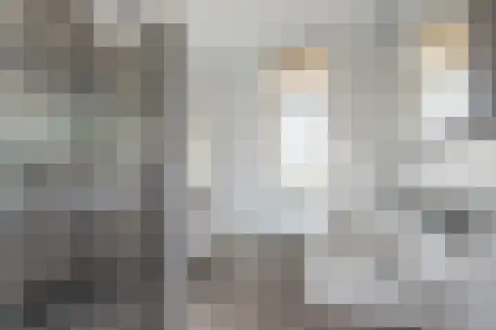Zijdehoenderlaan 86 Barneveld thumbnail 24