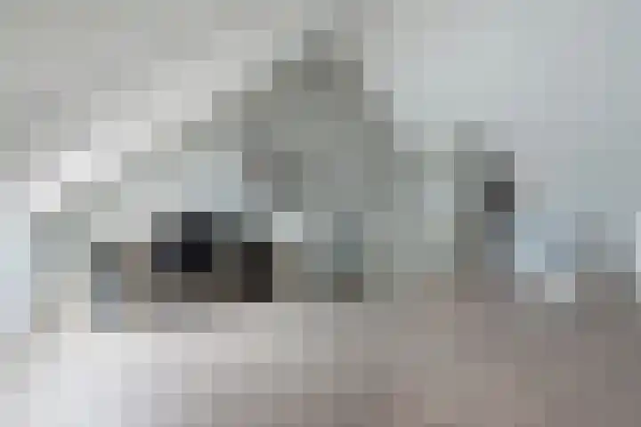 Zijdehoenderlaan 86 Barneveld thumbnail 32