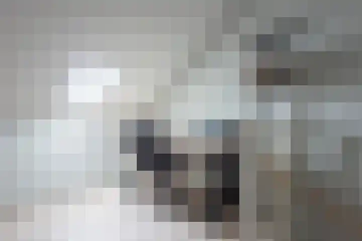 Zijdehoenderlaan 86 Barneveld thumbnail 33