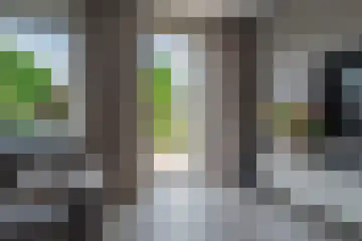 Zijdehoenderlaan 86 Barneveld thumbnail 35