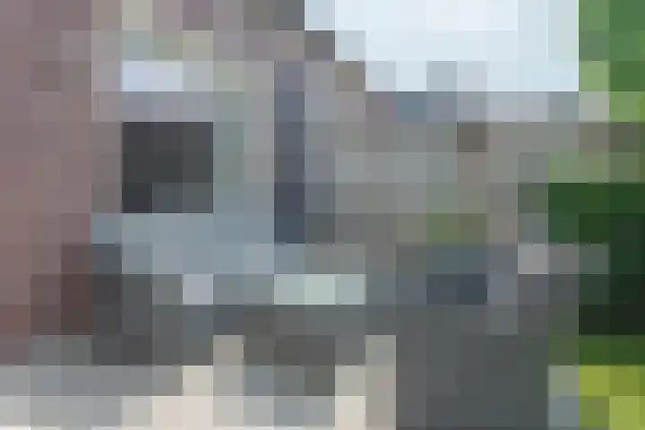 Zijdehoenderlaan 86 Barneveld thumbnail 37