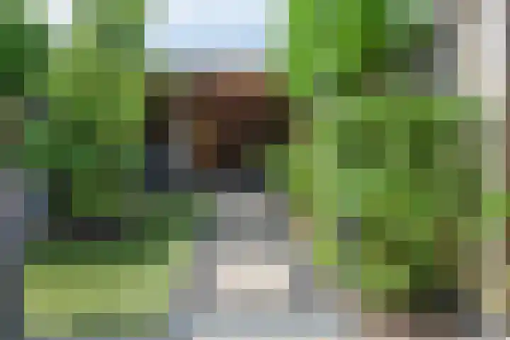 Zijdehoenderlaan 86 Barneveld thumbnail 39