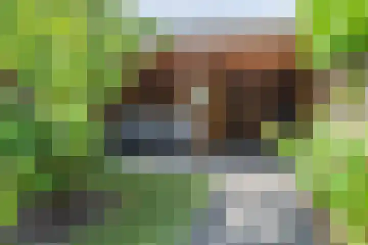 Zijdehoenderlaan 86 Barneveld thumbnail 40