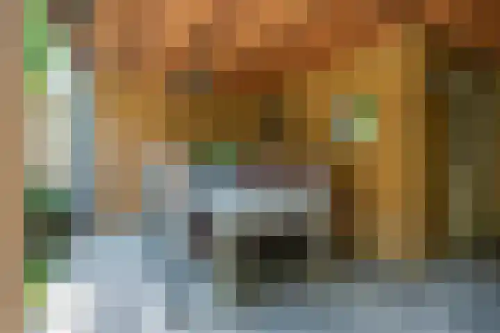 Zijdehoenderlaan 86 Barneveld thumbnail 41