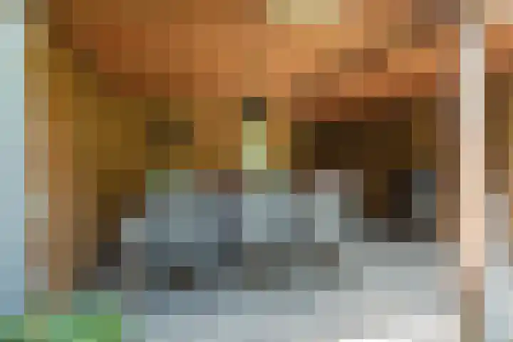 Zijdehoenderlaan 86 Barneveld thumbnail 42