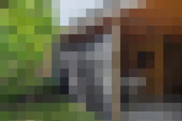 Zijdehoenderlaan 86 Barneveld thumbnail 43