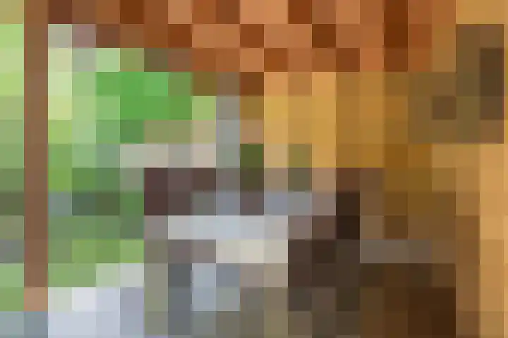 Zijdehoenderlaan 86 Barneveld thumbnail 47