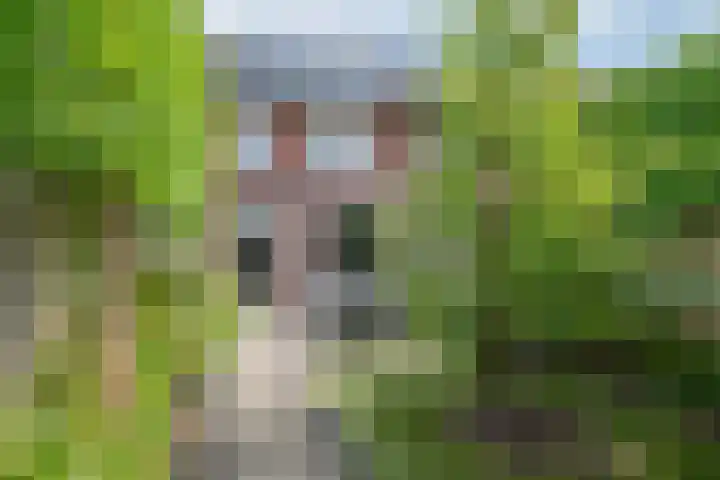 Zijdehoenderlaan 86 Barneveld thumbnail 48