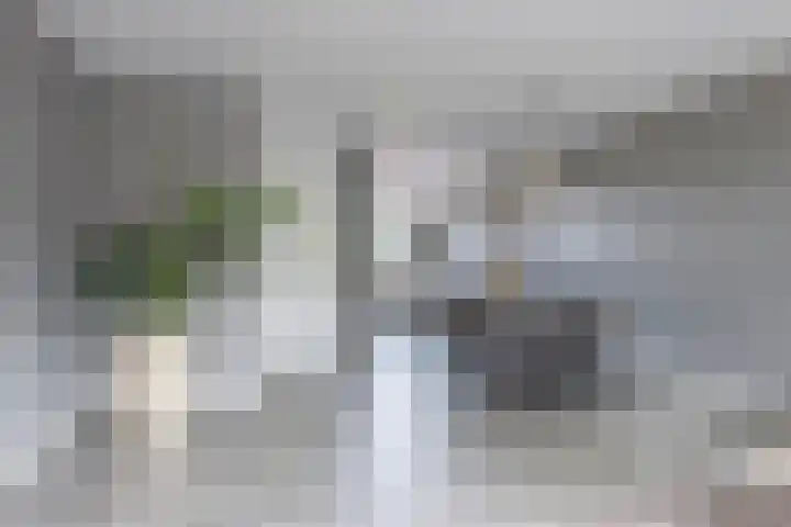 Zijdehoenderlaan 86 Barneveld thumbnail 8
