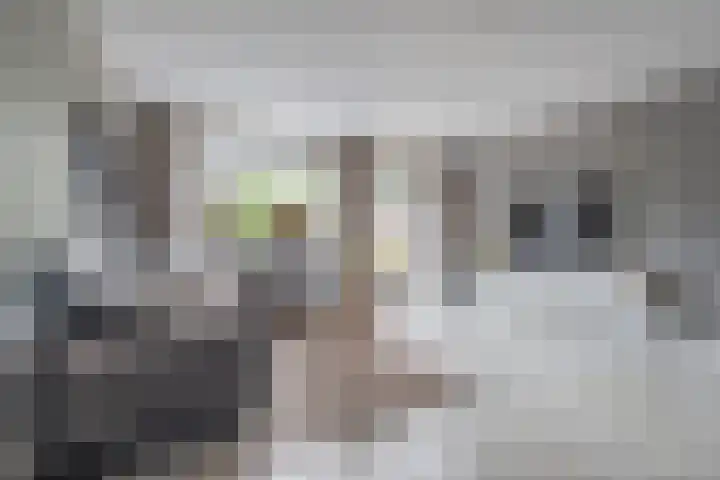 Zijdehoenderlaan 86 Barneveld thumbnail 9