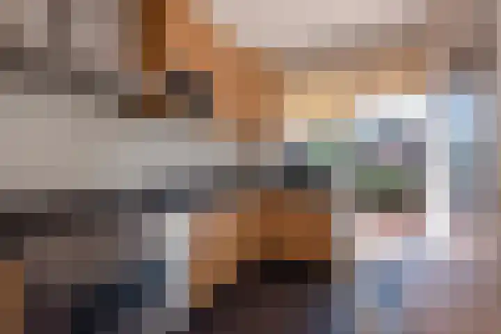Zijdelaan 32 A Den Haag thumbnail 16