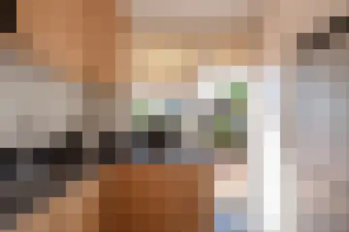 Zijdelaan 32 A Den Haag thumbnail 17