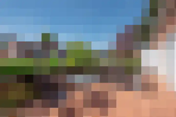 Zijdelaan 32 A Den Haag thumbnail 19