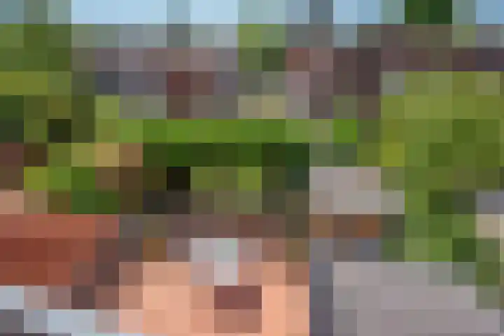 Zijdelaan 32 A Den Haag thumbnail 29