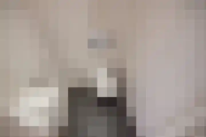 Zijdelaan 32 A Den Haag thumbnail 5