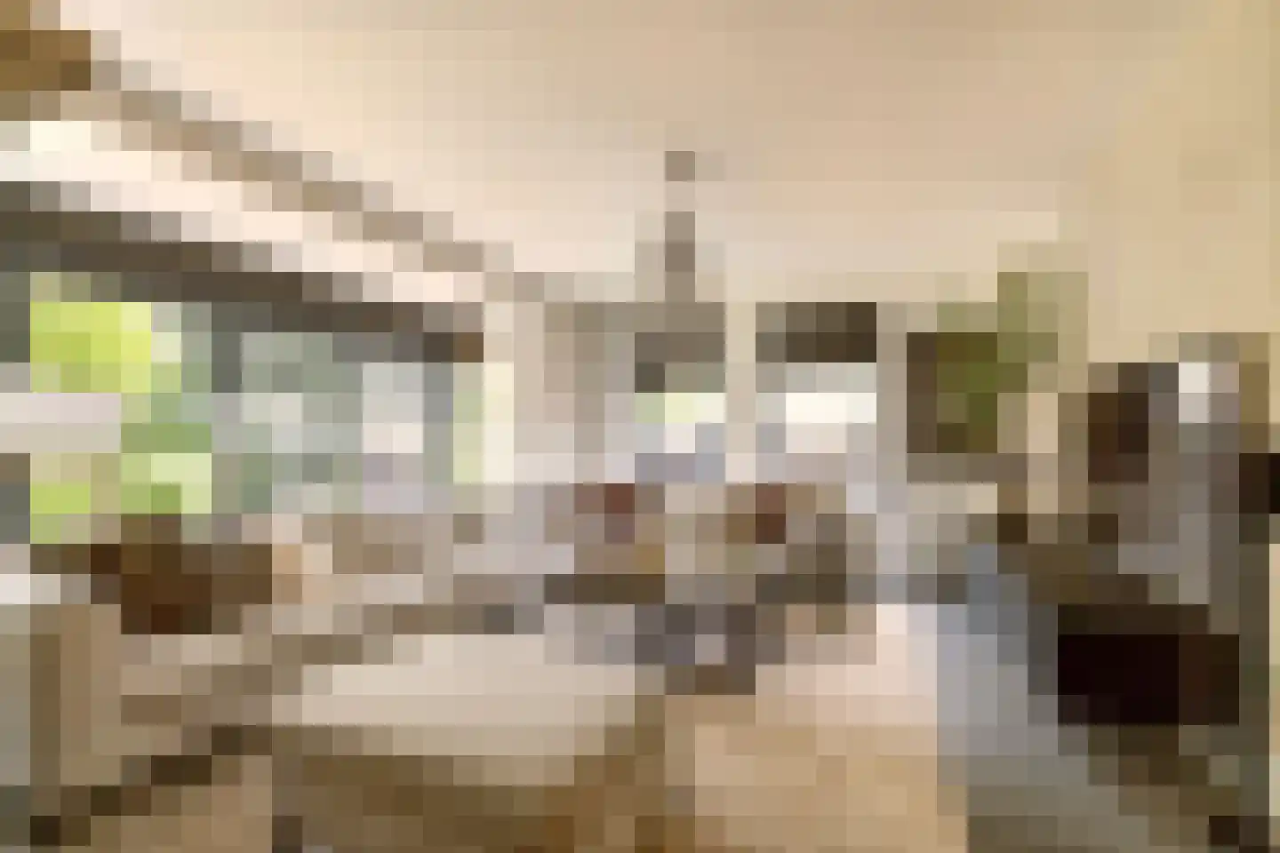 Zijdelveld 28 a Uithoorn thumbnail 17
