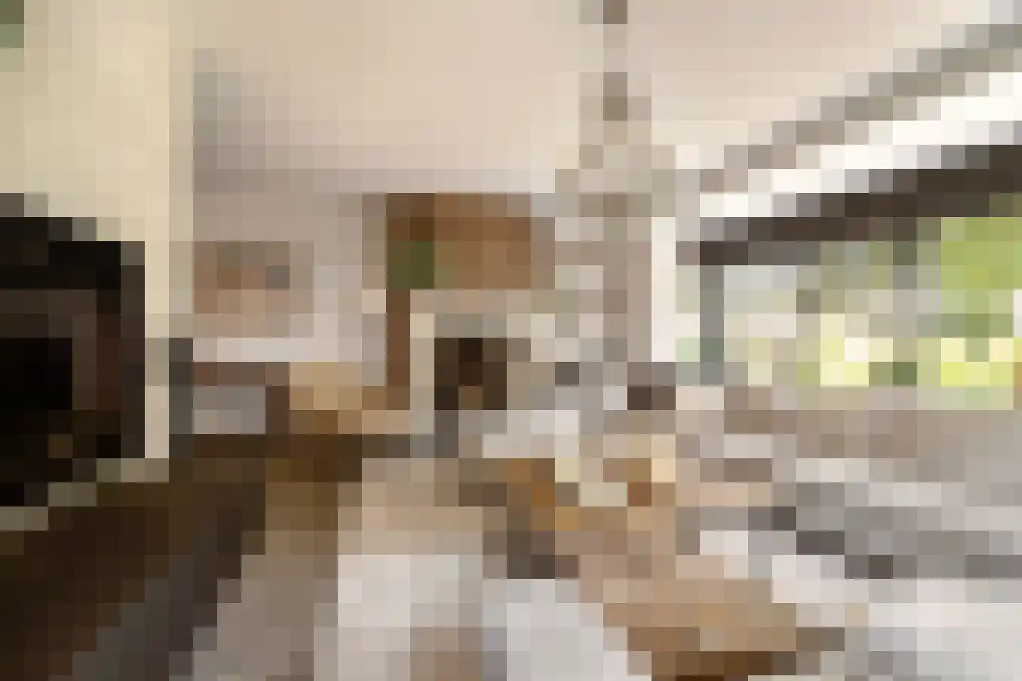 Zijdelveld 28 a Uithoorn thumbnail 18