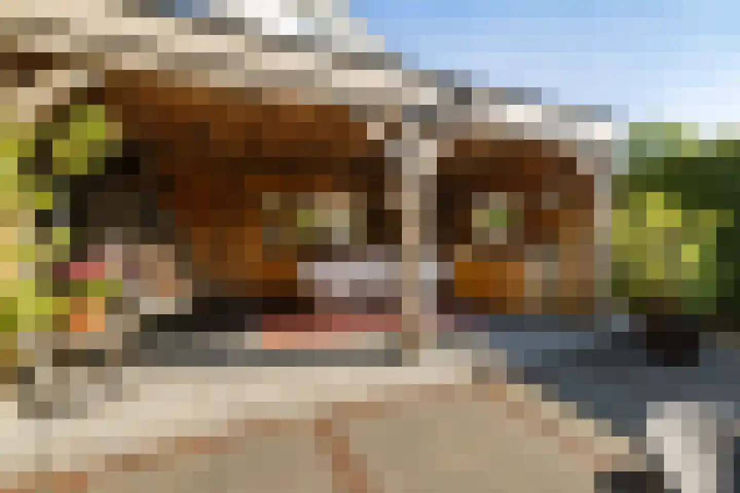 Zijdelveld 28 a Uithoorn thumbnail 25