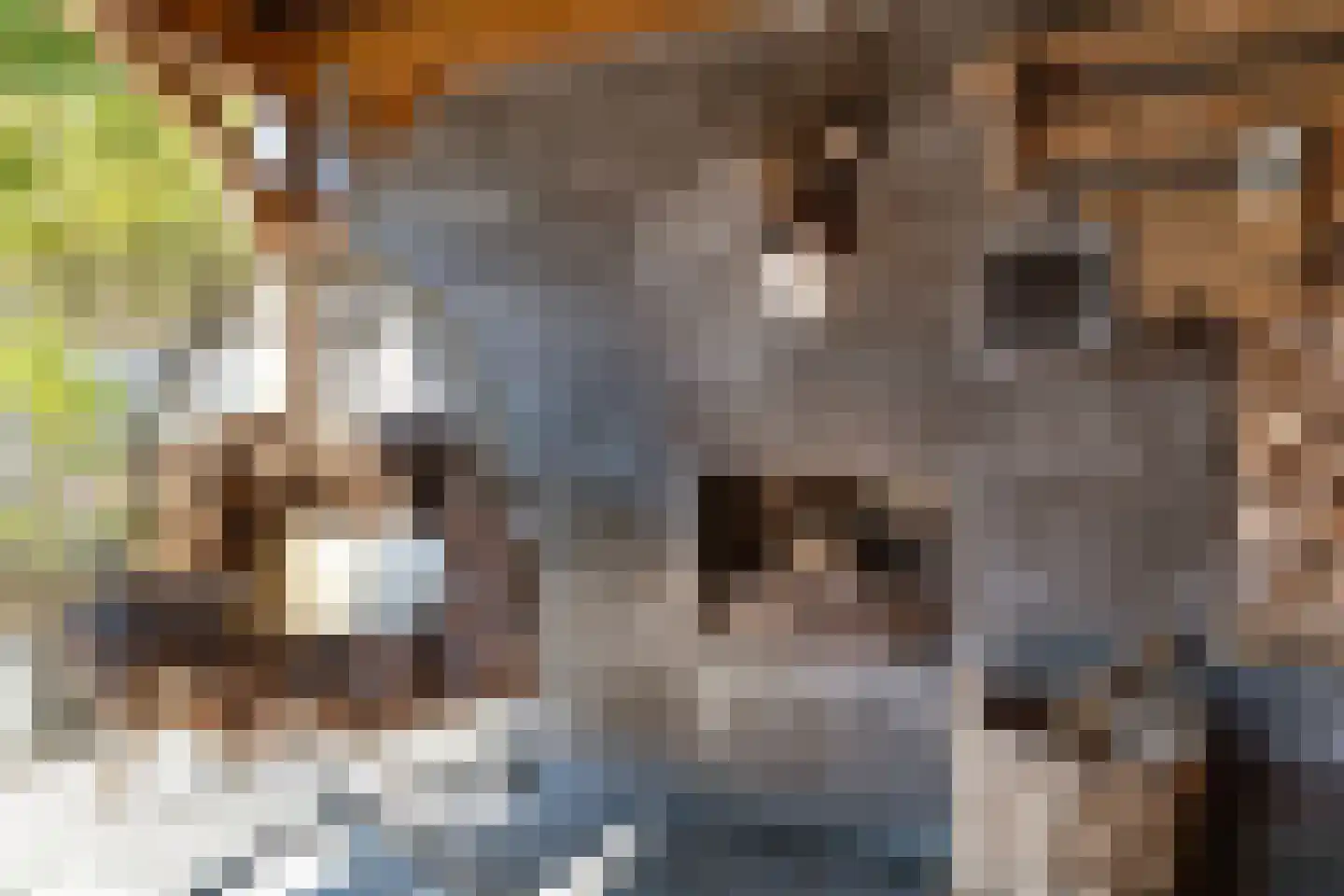 Zijdelveld 28 a Uithoorn thumbnail 26