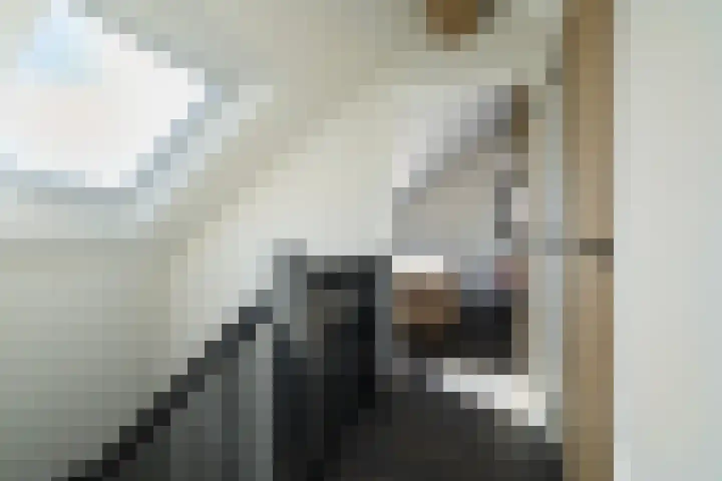 Zijdelveld 28 a Uithoorn thumbnail 46