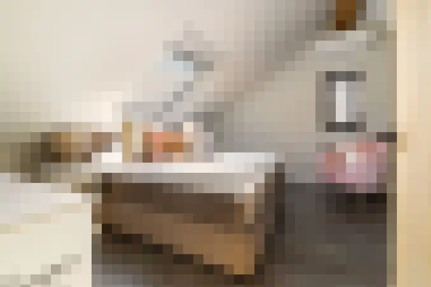 Zijdelveld 28 a Uithoorn thumbnail 47