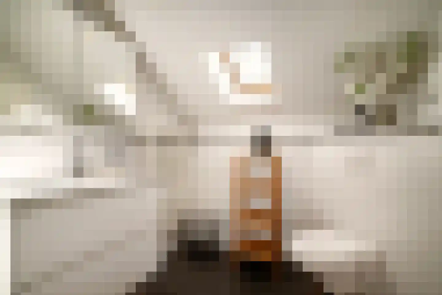 Zijdelveld 28 a Uithoorn thumbnail 58